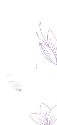 nova footer
